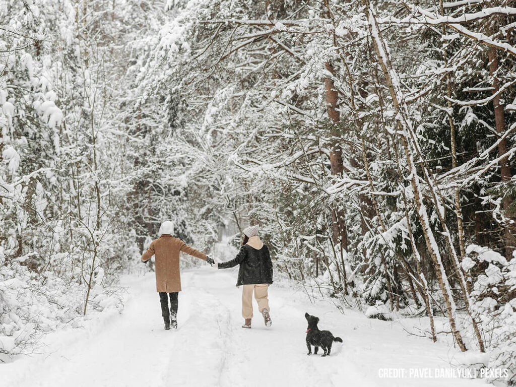 Embrace-Brisk-Winter-Walking
